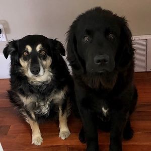 Meet your Posher, Pamela